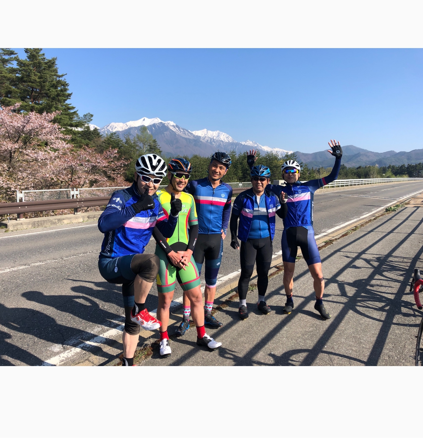 チクリ・ピオニエーレのイメージ画像です。